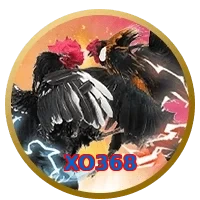 XO368