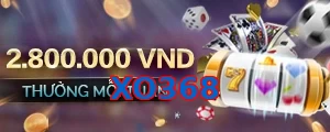 XO368
