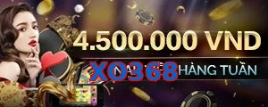 XO368