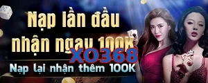 XO368